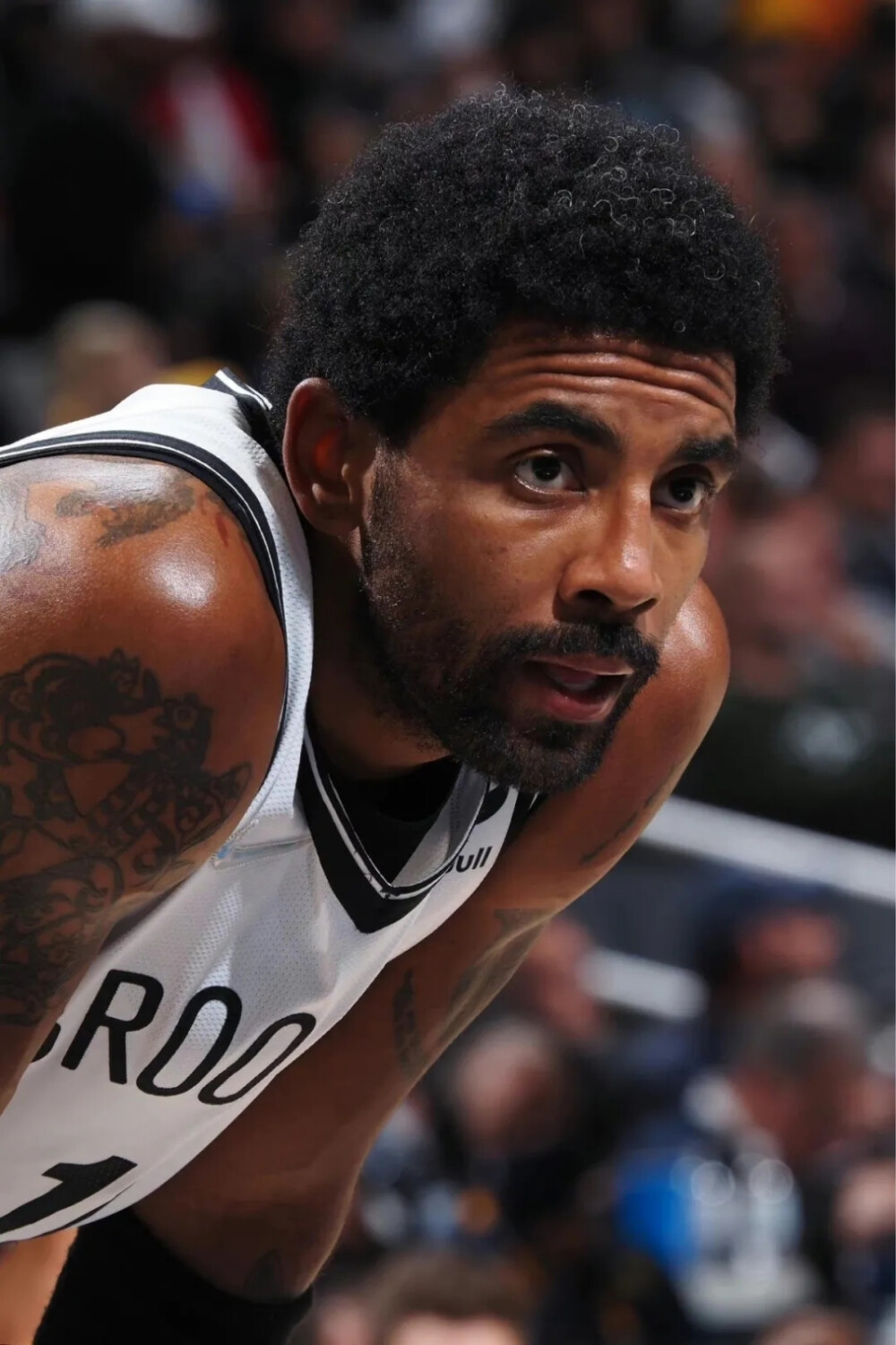 带来了新的 带来了新的